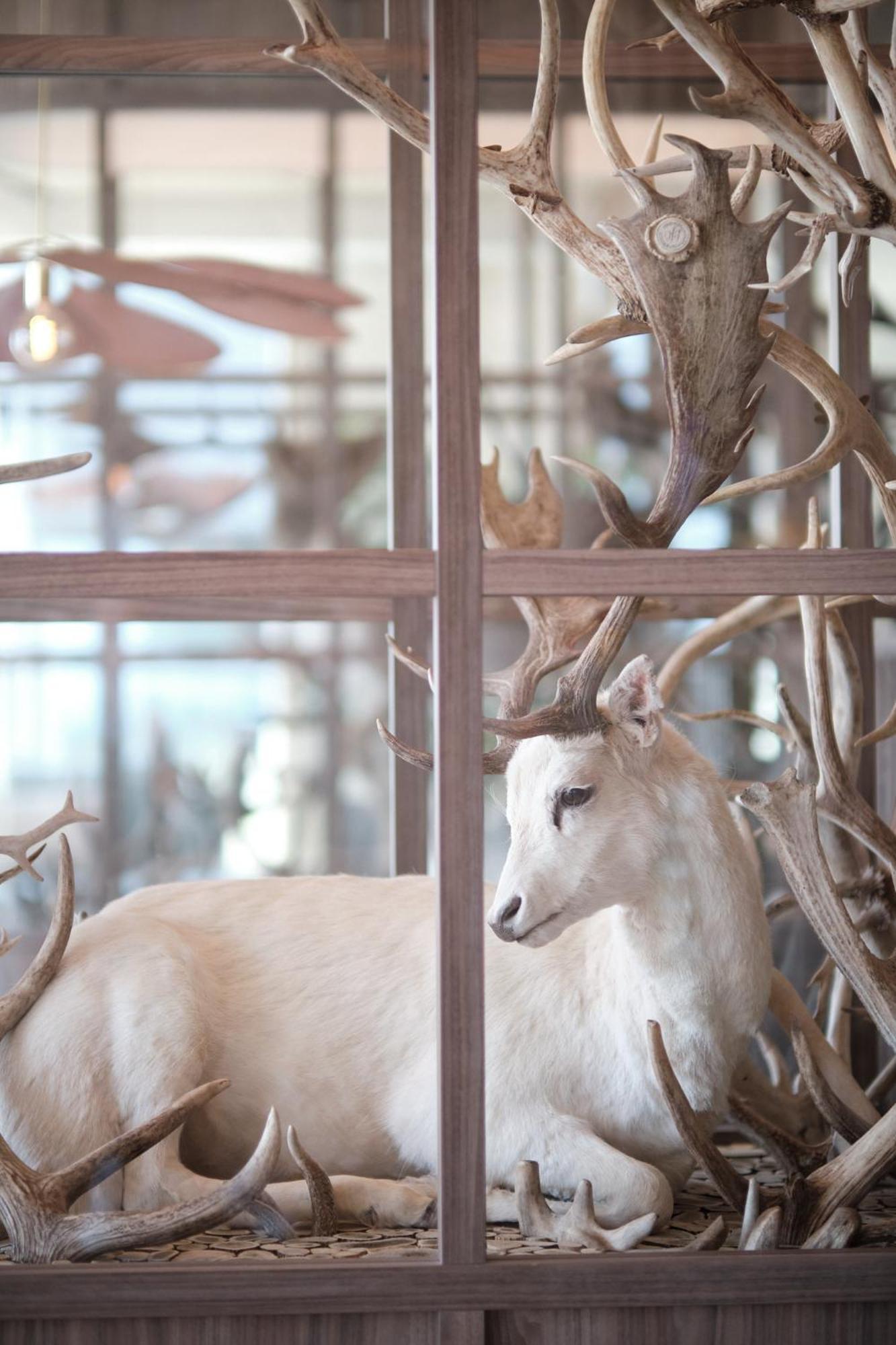 Boutique Hotel Blendin Bloemendaal Aan Zee Екстер'єр фото